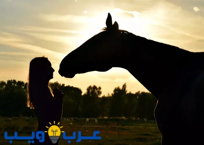 تفسير حلم ركوب الخيل أو الحصان للإمام الصادق بالتفصيل عـرب ويـــب