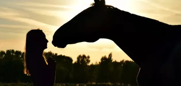 تفسير حلم ركوب الخيل أو الحصان للإمام الصادق بالتفصيل