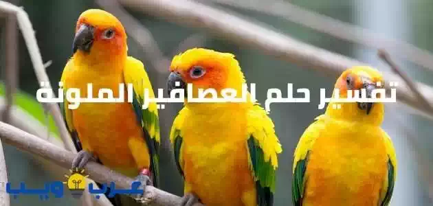 تفسير حلم العصافير الملونة و الغير ملونة للإمام الصادق