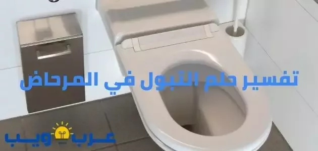 تفسير حلم التبول في المرحاض بالتفصيل للإمام الصادق