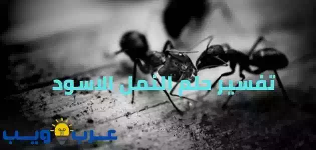 تفسير حلم النمل الاسود