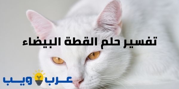 تفسير حلم القطة البيضاء ( جميع المعاني ) للإمام الصادق