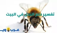 تفسير حلم النحل في البيت بالتفصيل للإمام الصادق