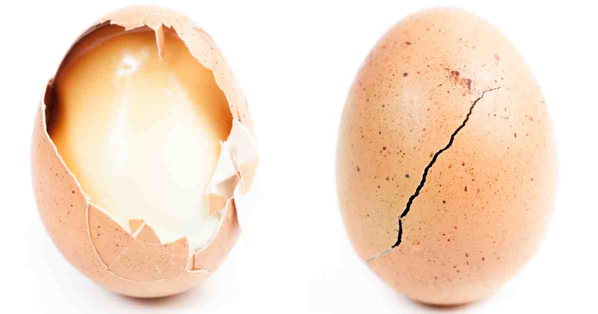 تفسير حلم كسر البيض للعزباء